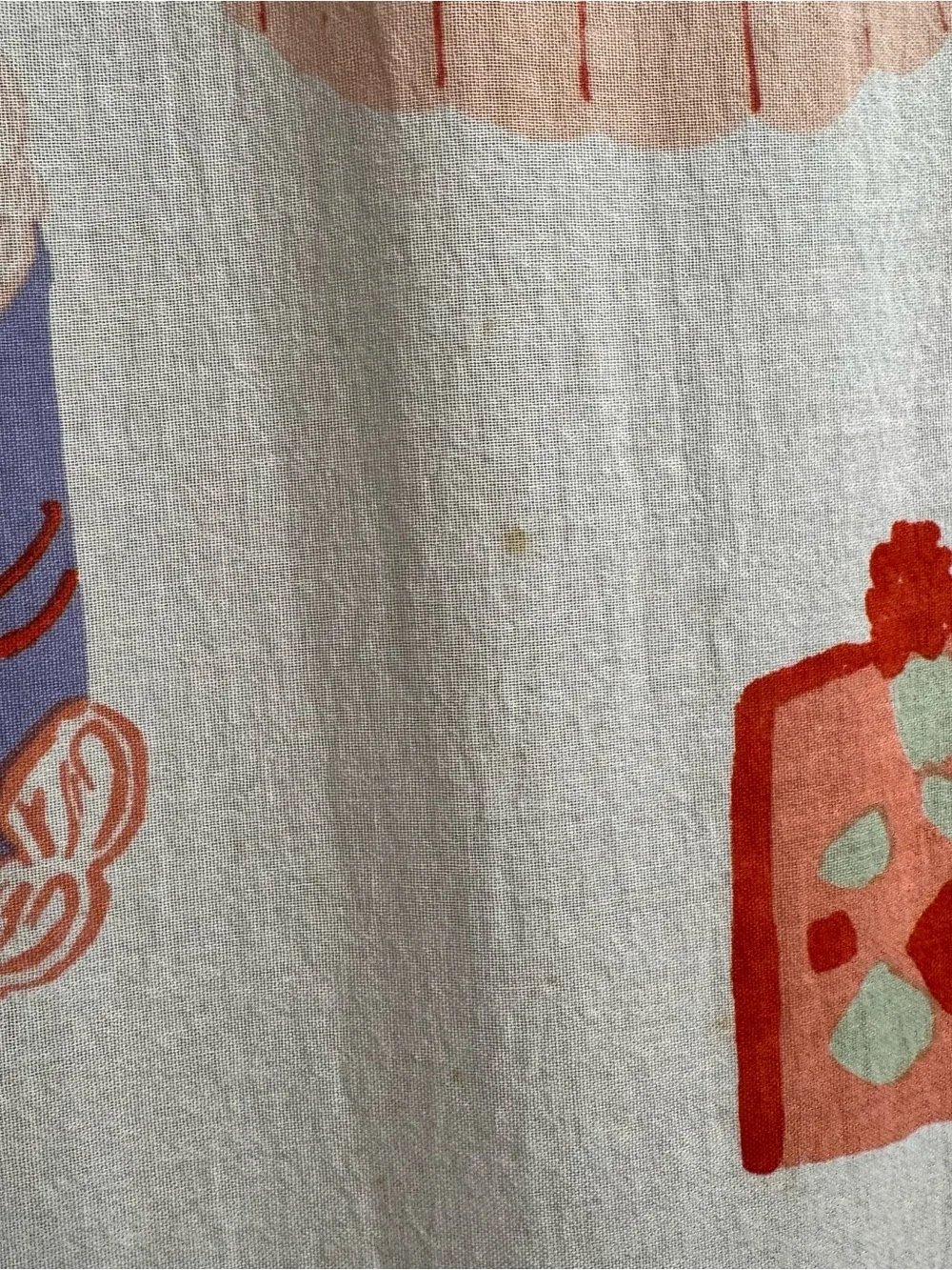 Urban Outfitters Cake Shower Curtain